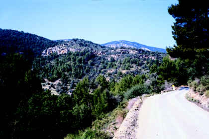 In der Sierra de Tramontana